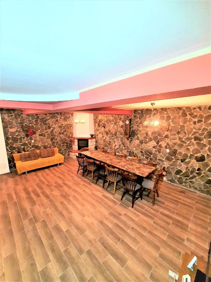 Vila Luca'S Cîrţişoara 外观 照片