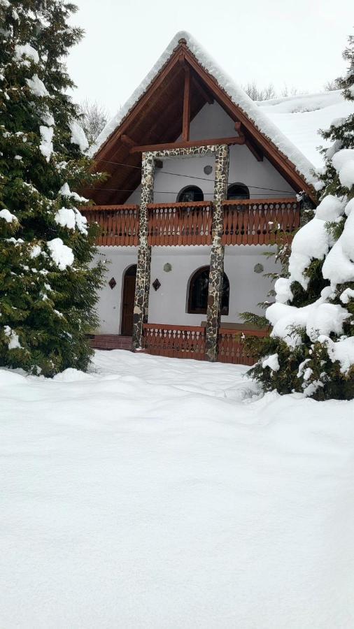 Vila Luca'S Cîrţişoara 外观 照片